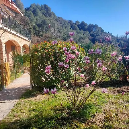 Un Brin De Paille * Cagnes-sur-Mer