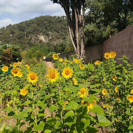 Holiday home Un Brin De Paille Cagnes-sur-Mer