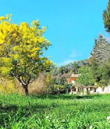 Holiday home Un Brin De Paille *