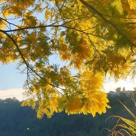Hébergement de vacances Un Brin De Paille Cagnes-sur-Mer