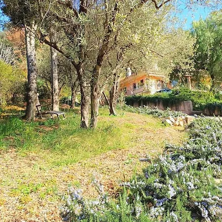 Un Brin De Paille Hébergement de vacances Cagnes-sur-Mer